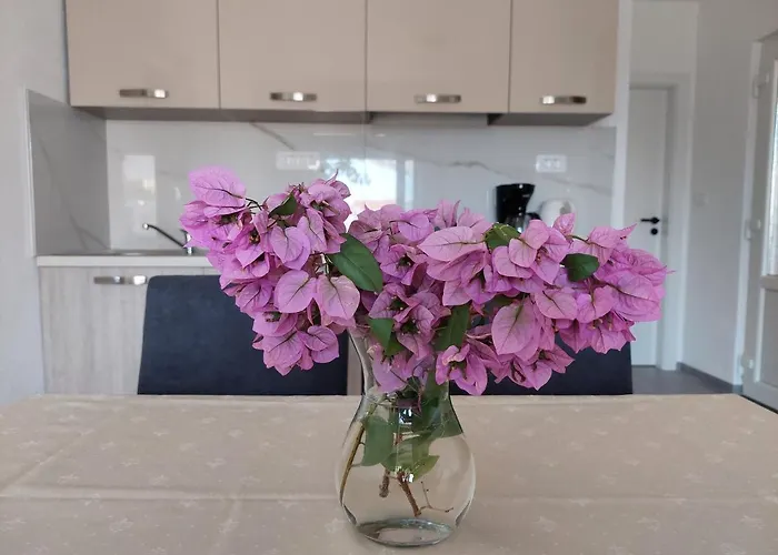 Babic トロギール