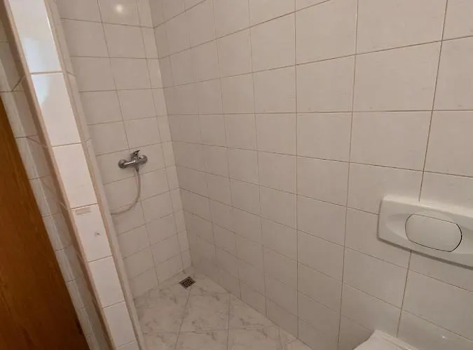 Babic * トロギール