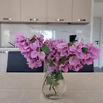 Babic تروغير